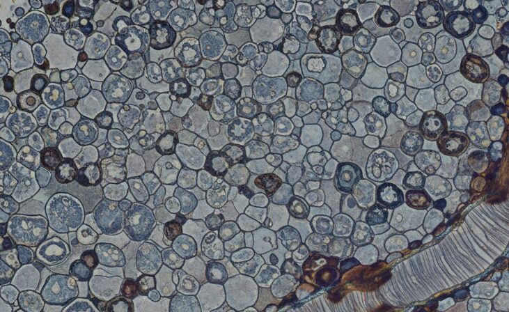 Raw/Material for Steel Tower